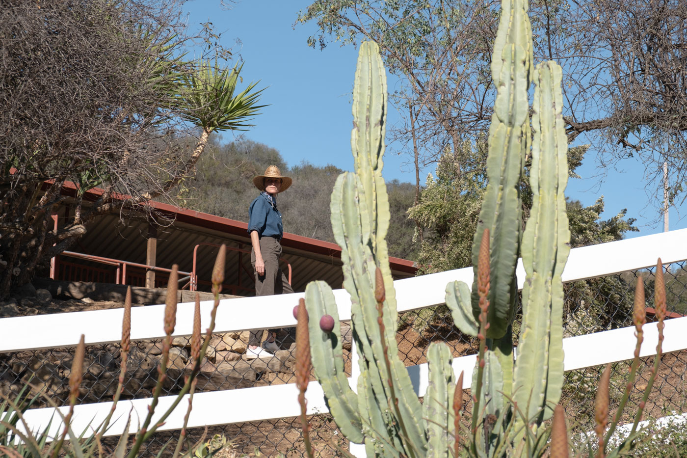 La Esperanza Ranch panorama